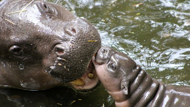 Me-time with mom.