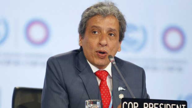COP 20 President and Peru's Environment Minister Manuel Pulgar Vidal said the Lima deal was a winner for all countries. 