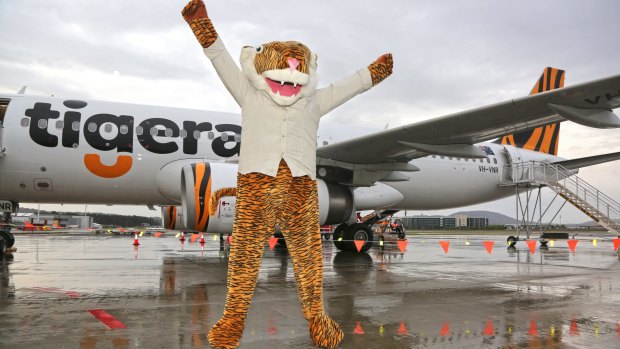 The impostor mascot who welcomed the first Tigerair flights from Melbourne to Canberra.