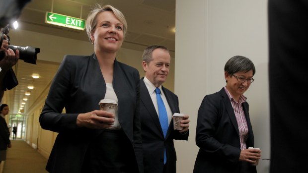 Good news for some: Deputy Opposition Leader Tanya Plibersek, Opposition Leader Bill Shorten and Senator Penny Wong walk past the Liberal party room meeting  on Monday.