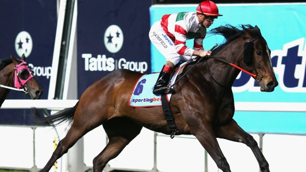 Jockey Glyn Schofield rides Hay List to victory in the Manikato Stakes at Moonee Valley on September 24, 2010.