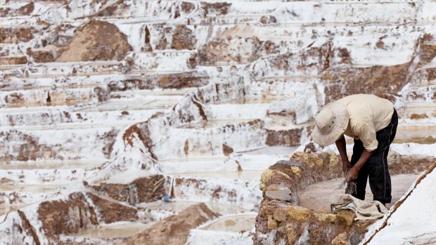 A man tends  his salt ponds in Maras, Cuzco, Sacred Valley, Peru. 
