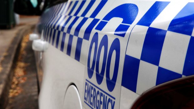 A teenage couple have allegedly assaulted two police officers following a domestic incident in western Sydney.