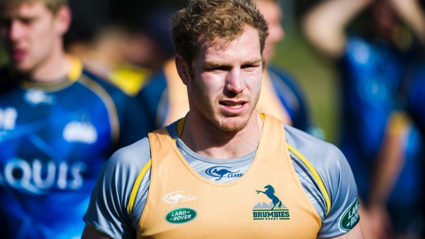 The prodigal son David Pocock is set to return for the Brumbies next week. 
