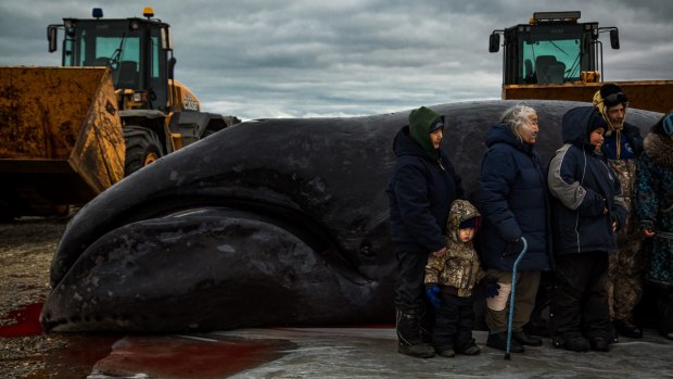 Relatives of whaling captain Ed Rexford, right, pose for photographs with a bowhead whale that he caught within the Arctic National Wildlife Refuge.