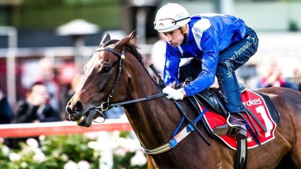 Running scared: Winx in final tune-up for the Cox Plate.