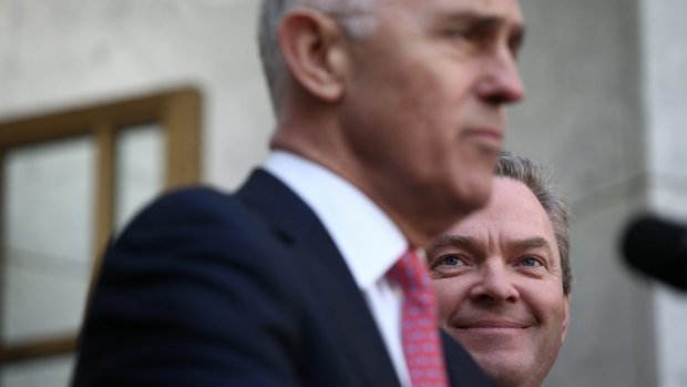 Prime Minister Malcolm Turnbull and Minister for Defence Industry Christopher Pyne have slammed the comments.