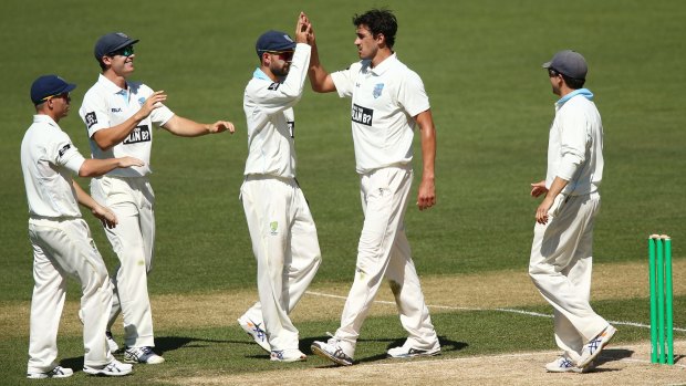 Key man: Mitchell Starc will be central to Australian hopes in the Test series against New Zealand.