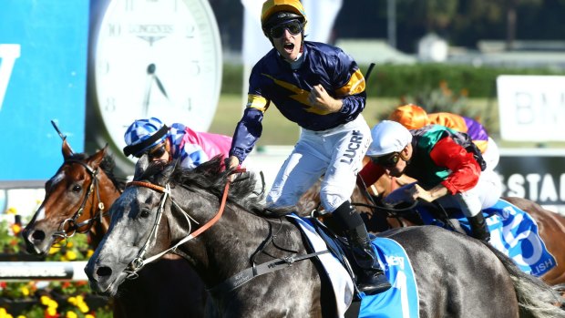 Everest favourite: Chautauqua is waiting for his Everest rivals to emerge.