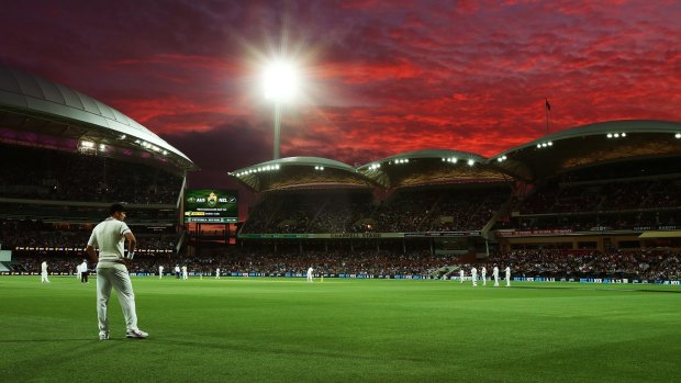 The lights fantastic: Adelaide Oval makes for a spectacular sight on day one of the first day-night Test between Australia and New Zealand.