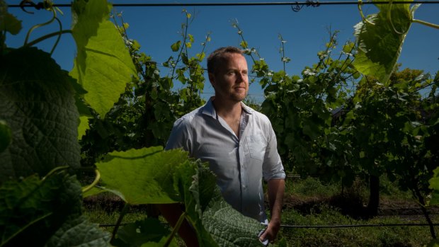 Rollo Crittenden is a winemaker at the Crittenden winery, a small family-owned business in Dromana on the Mornington Peninsula. 