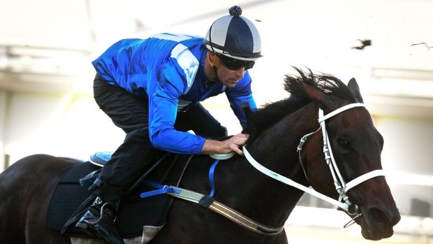 Free ride: Punters can watch champion mare Winx for free on Monday.