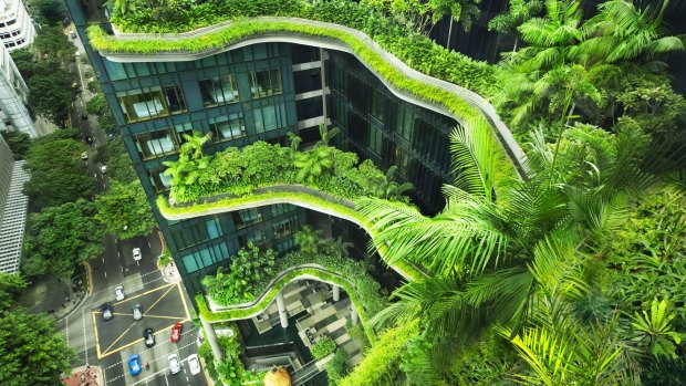 Parkroyal on Pickering has 15,000 square metres of hanging gardens spread across 16 storeys.
