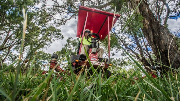 Mower operators work extra hard to cut long grass over the summer months in Canberra.