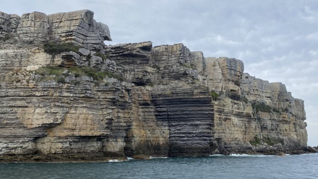 The jagged 90-metre high cliffs of Point Perpendicular, the headland at the northern entrance to Jervis Bay.