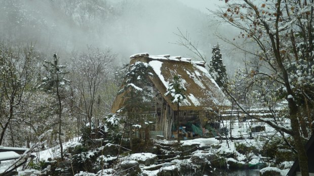 Snow-covered landscapes make Japan an appealing winter destination.