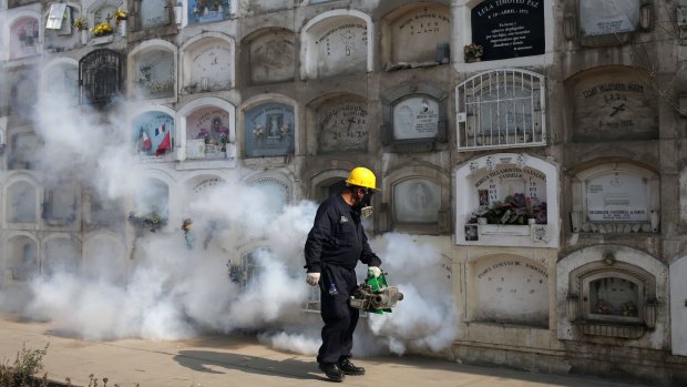 A health worker fumigates to prevent Dengue, Chikunguya and Zika virus, at El Angel cemetery  in Lima, Peru.