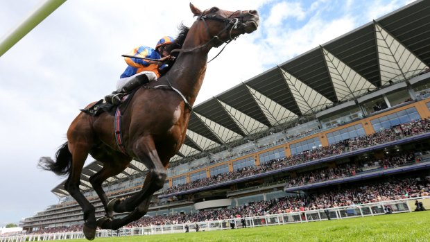 Order Of St George, with Ryan Moore on board, vanquishes rivals in the 16.20 Gold Cup at Ascot Racecourse in 2016. 
