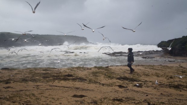 Little Bay in Sydney's south, seen here in a file photo, can be dangerous in big surf conditions.