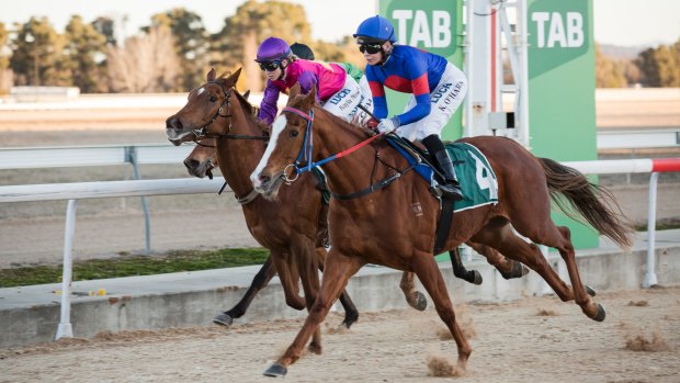 Kathy O'Hara could make her Melbourne Cup debut this year onboard Canberra mare Single Gaze.