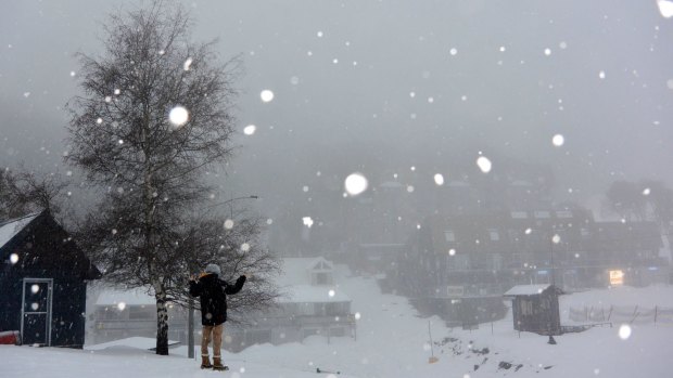 Snow fell in Victoria on Tuesday afternoon.