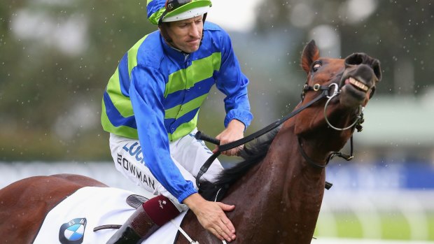 Jameka, ridden by Hugh Bowman to a seven-length victory in The BMW at Rosehill, may become a globetrotter.