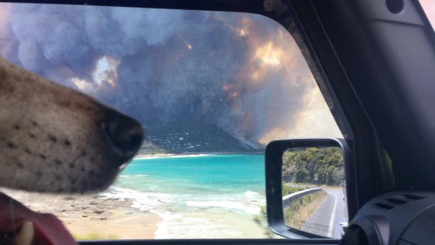 The bushfire as seen from her car by Molly Jacobs, Peter Jacobs' daughter, as she fled on Christmas Day.