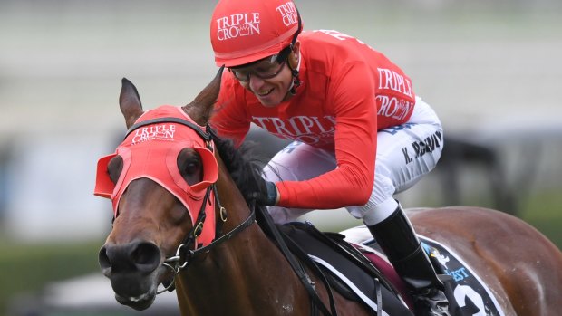 Red alert: Redzel is heading to the Darley Classic after winning The Everest at Randwick on Saturday.