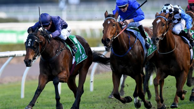 Exciting chance: I Am Excited (outside) chases Formality home in the Furious Stakes at Randwick.