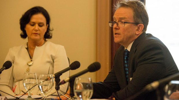 Ann-Maree Wolff and Phil Edmands testified for Rio Tinto at the corporate tax avoidance inquiry.