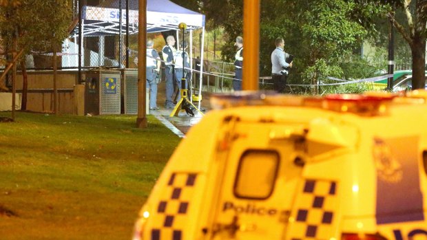 The shooting took place at the public housing estate on Drummond Street, Carlton.
