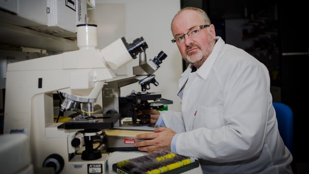 At work: Professor Ross Hannan is the first Centenary Chair of Cancer Research at the John Curtin School of Medical Research. 