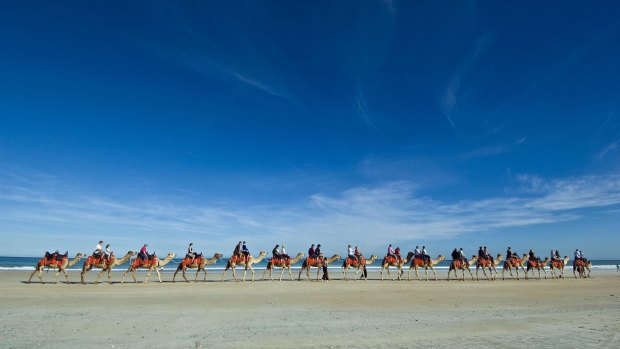 Another quirky activity in Broome: Ride a camel along Cable Beach.