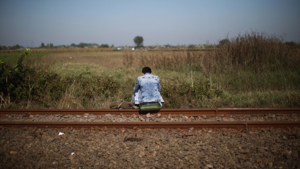 A migrant rests on the train tracks at Hungary's border with Serbia.