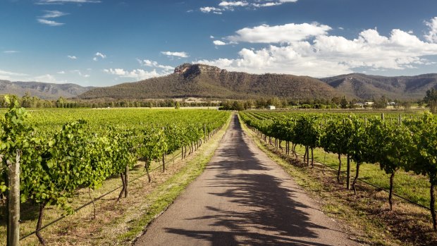As a wine tourism destination, the Hunter has for a long time felt a little too touristy and commercial. But in reality, at eight years shy of its bicentenary, it is the oldest wine-growing region in Australia.