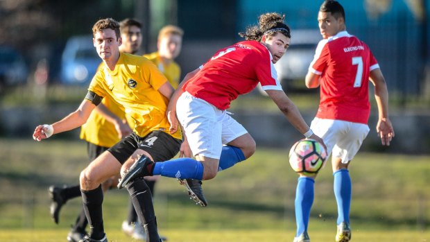 Canberra FC's Juliano Borgna in action.