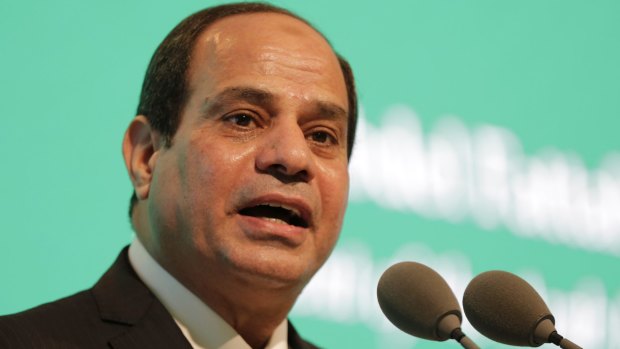 Egyptian President Abdel-Fattah el-Sisi has dismissed claims terrorism is to blame for the Russian plane crash last week.