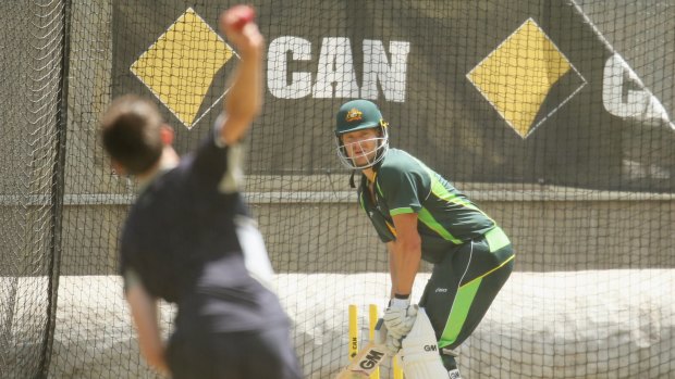 Back in the nets: Shane Watson at the MCG on Wednesday.