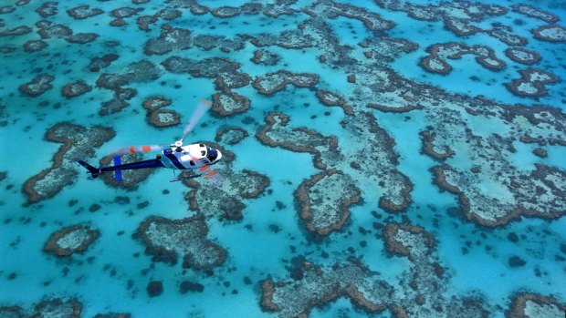 A helicopter over the reef, Heron Island.
