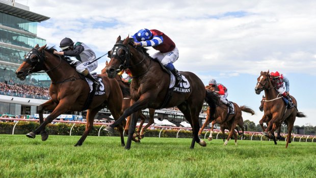 Almost: Damian Lane on Extra Zero is beaten by Michael Walker on Spillway at Flemington.