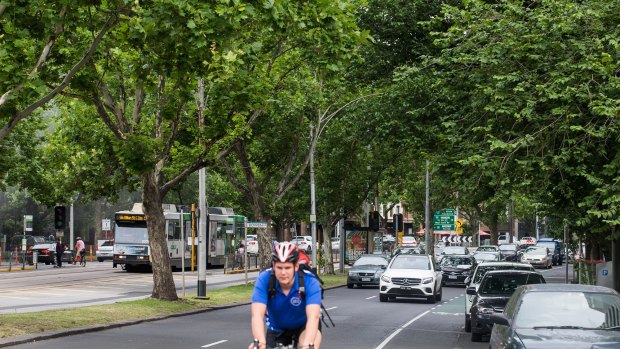 Almost 80 trees are set to be removed from St Kilda Road.