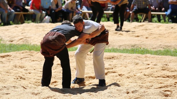 Getting a grip. Wrestlers do battle in large circles of sawdust.