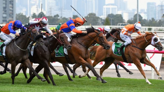 Changed horse: Red Bomber, centre, wins from Burning Front, right, at Flemington on Saturday. 