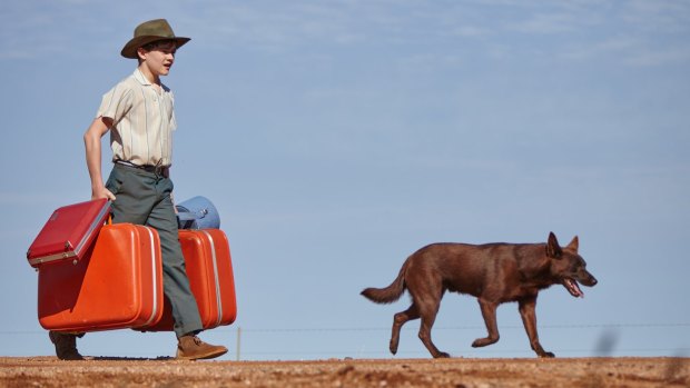 Busy set: Mick (Levi Miller) and his canine companion in <i>Blue Dog</i>.