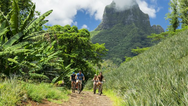 Cycling around Moorea's pineapple plantations.