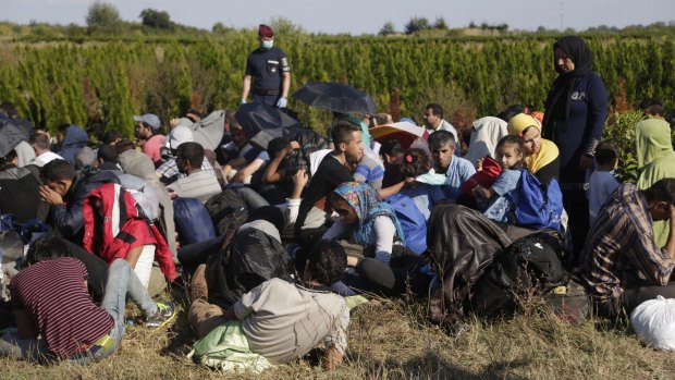 Refugees wait for help after crossing a border near the village of Zakany in Hungary on Wednesday. 