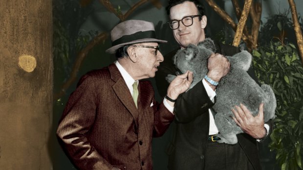 Igor Stravinsky with a koala during a tour of Australia. 