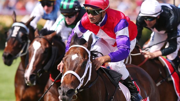 Class is permanent: Dom Tourneur and Hucklebuck take out the Emirates Stakes at Flemington in 2014.