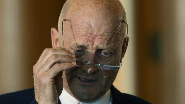 "I have some sympathies for where the government wants to go, plus some reservations," David Leyonhjelm told The Australian Financial Review.