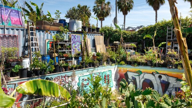 The backyard of 'gangsta gardener' Ron Finley in South Central Los Angeles, includes a graffiti-covered, plant-filled swimming pool.